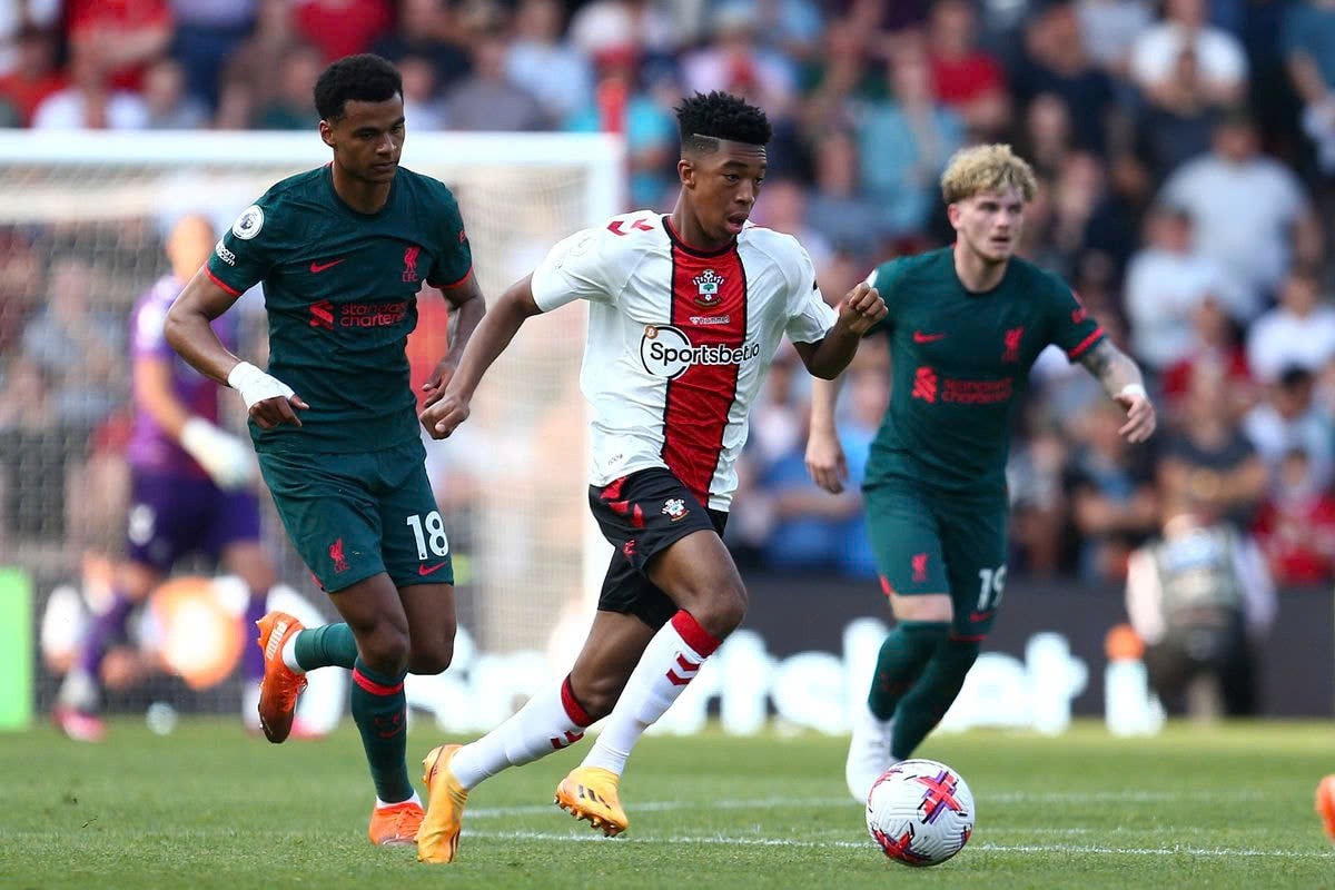 Nhận định soi kèo Southampton vs Liverpool vào 03h00 ngày 19/12/2024